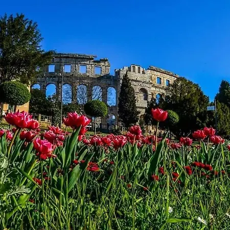 Сasa de vacaciones House Fontanele Pula