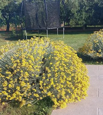 House Fontanele Сasa de vacaciones