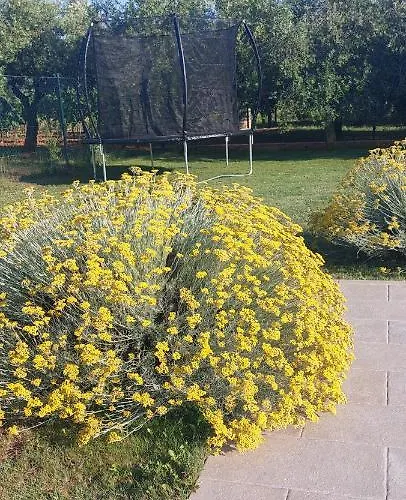 House Fontanele 別荘